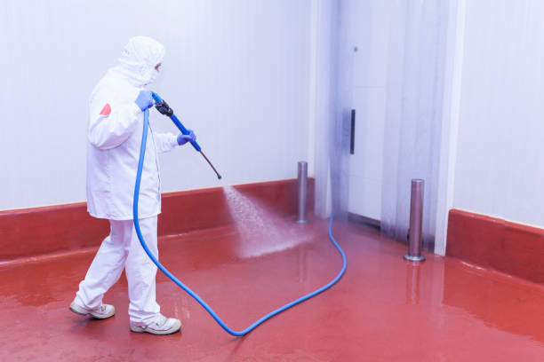Best Roof Washing  in Oxford, IN